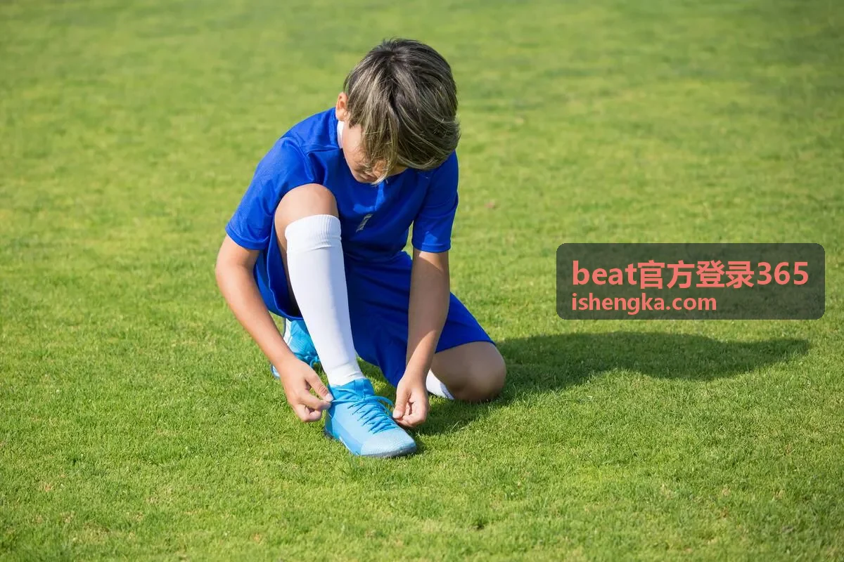 beat官方登录365 会员方案与权益档位示意